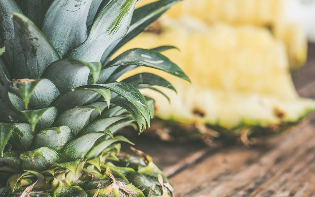 Best Organic Garden Fertilisers