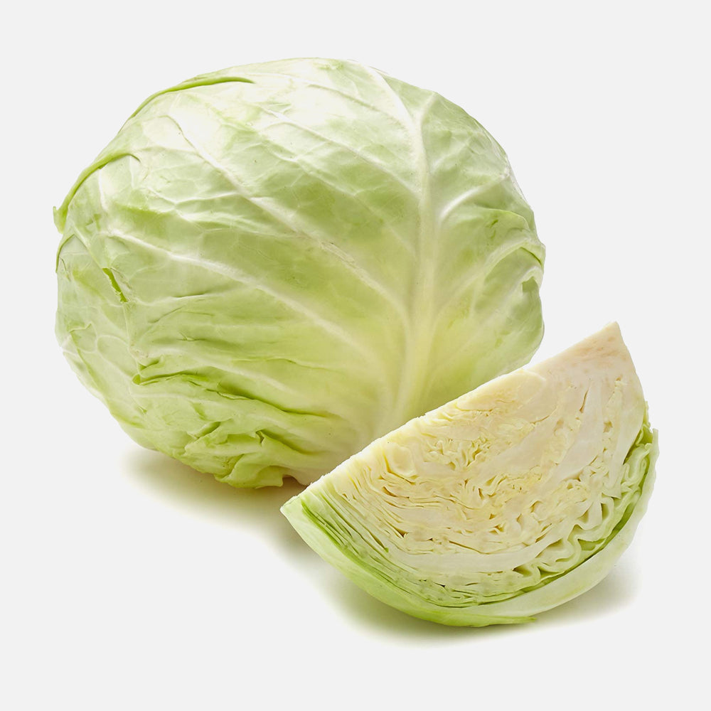 Cabbage